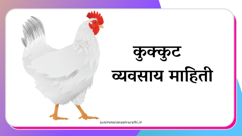 Poultry Farming Information In Marathi : फक्त 50 हजार रुपयांमध्ये  सुरू करा हा व्यवसाय, दरमहा 1 लाख कमवू शकाल, सरकार देईल  35% सबसिडी