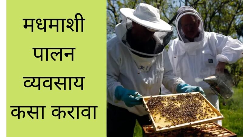 मधमाशी पालन व्यवसाय कसा करावा | मध निर्मिती व्यवसाय | Madhmashi Palan Vyavsay Kasa Karava