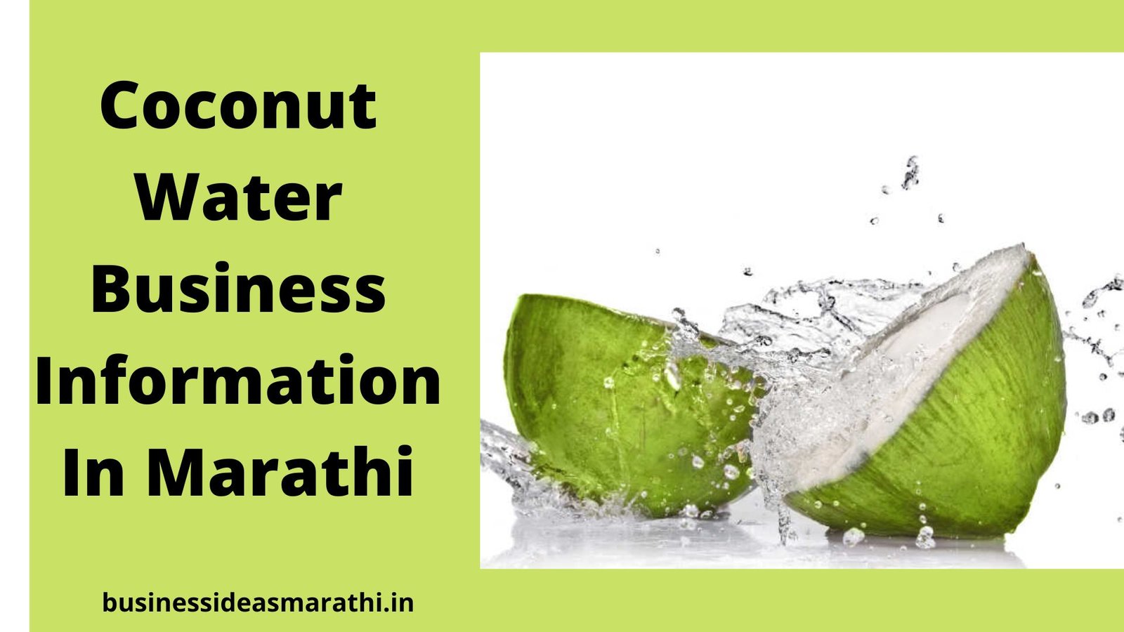 Coconut Water Business Information In Marathi