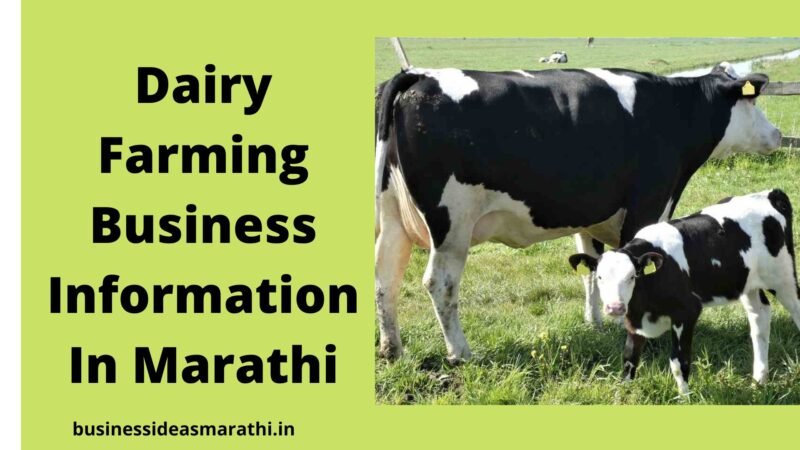 डेअरी फार्म व्यवसाय माहिती | Dairy Farming Business Information In Marathi