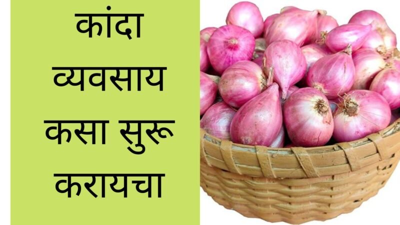कांदा व्यवसाय कसा सुरू करायचा | Onion Business Information In Marathi