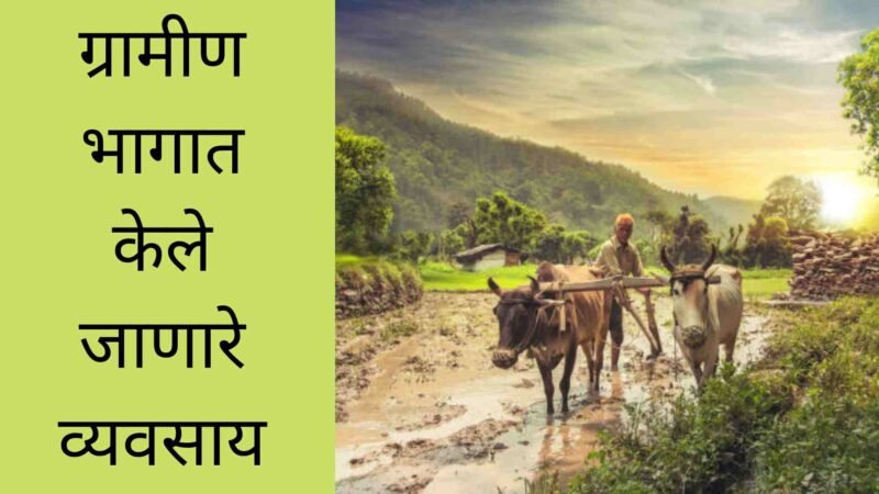 ग्रामीण भागात केले जाणारे व्यवसाय, संपूर्ण माहिती | Village Business Ideas In Marathi