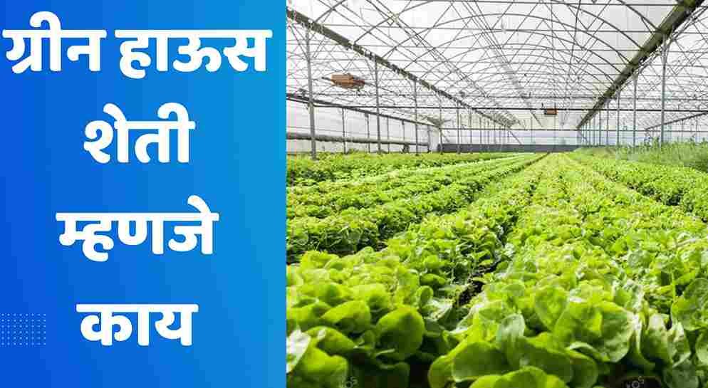 ग्रीन हाऊस शेती म्हणजे काय | Green House Farming In Marathi