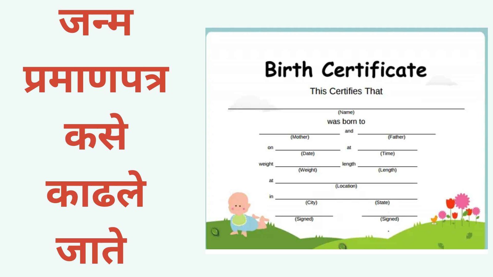 Birth Certificate Information In Marathi