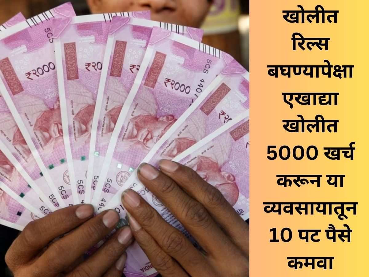 Earn Money From Home In Marathi