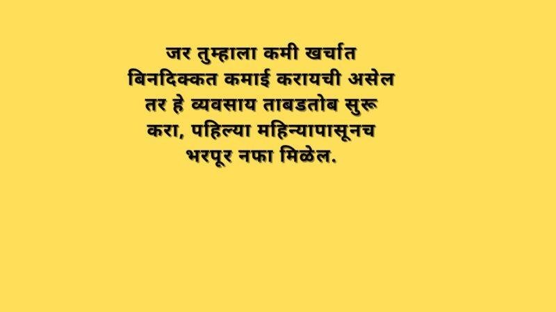 जर तुम्हाला कमी खर्चात बिनदिक्कत कमाई करायची असेल तर हे व्यवसाय ताबडतोब सुरू करा, पहिल्या महिन्यापासूनच भरपूर नफा मिळेल.