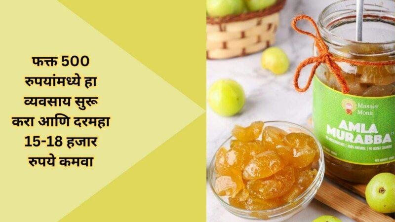 फक्त 500 रुपयांमध्ये हा व्यवसाय सुरू करा आणि दरमहा 15-18 हजार रुपये कमवा