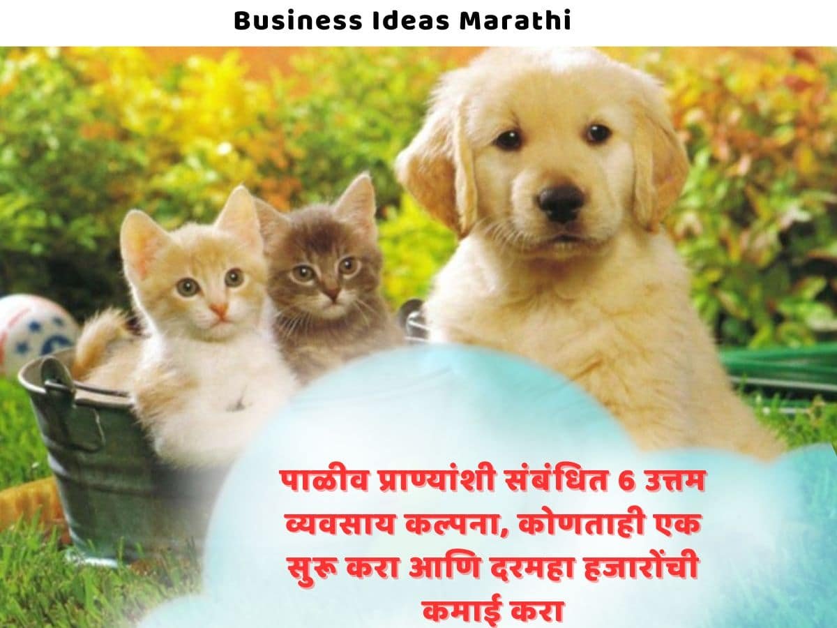Pet Sitting Business In Marathi