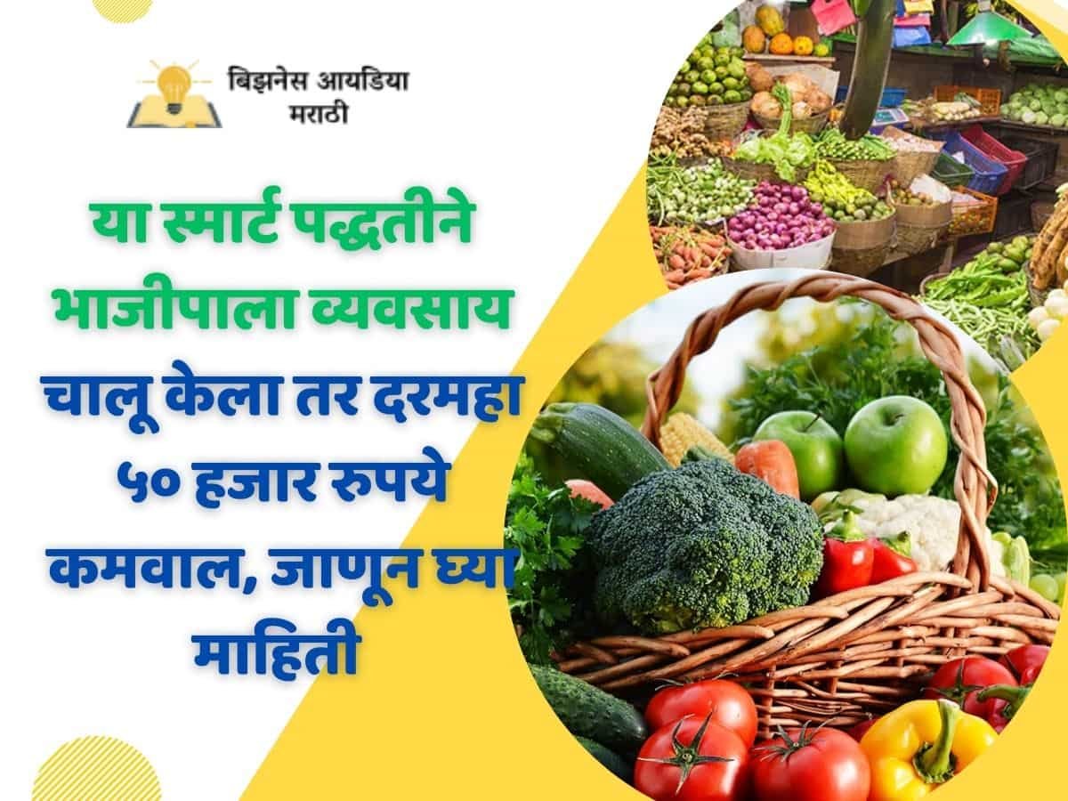 Vegetable Business Ideas In Marathi